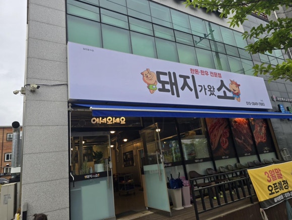 돼지가왔소 이미지