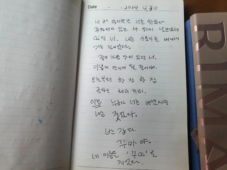 주마사마 이미지