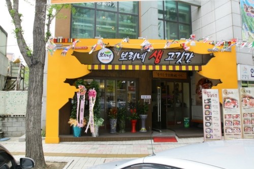 돼지보리네 이미지