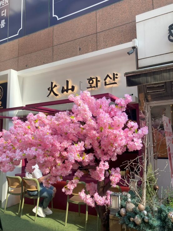 화산샤브 이미지
