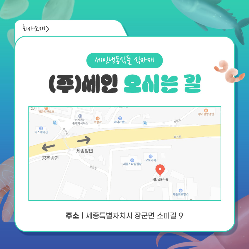 (주)세인 이미지