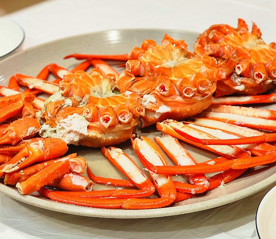 노노예예 이미지
