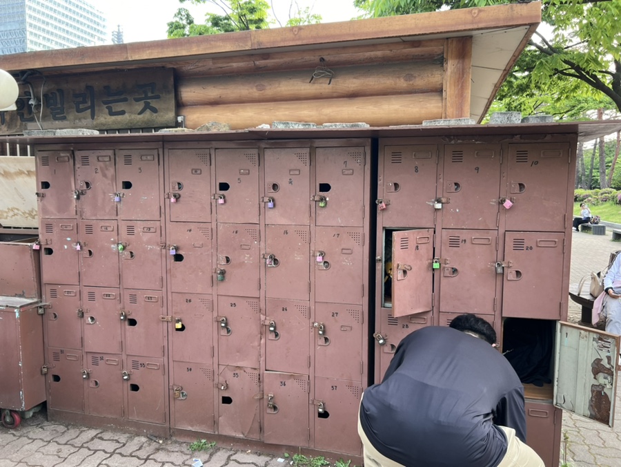여의도공원인라인대여소 이미지