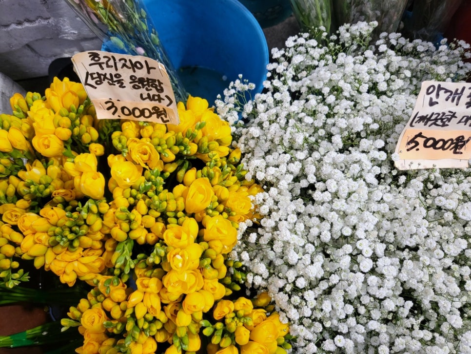 태평양화원 이미지
