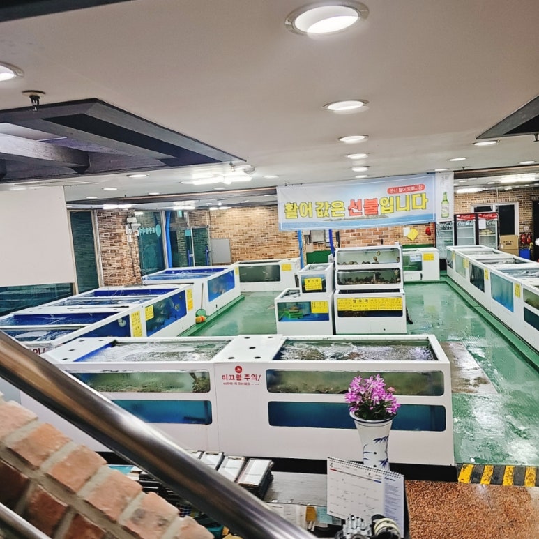 청주군산활어 이미지