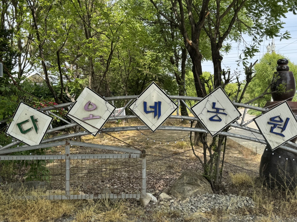 다오네식당 이미지
