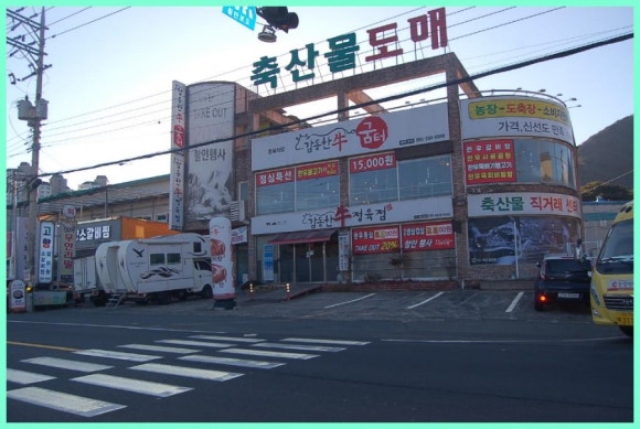 감동한우 이미지