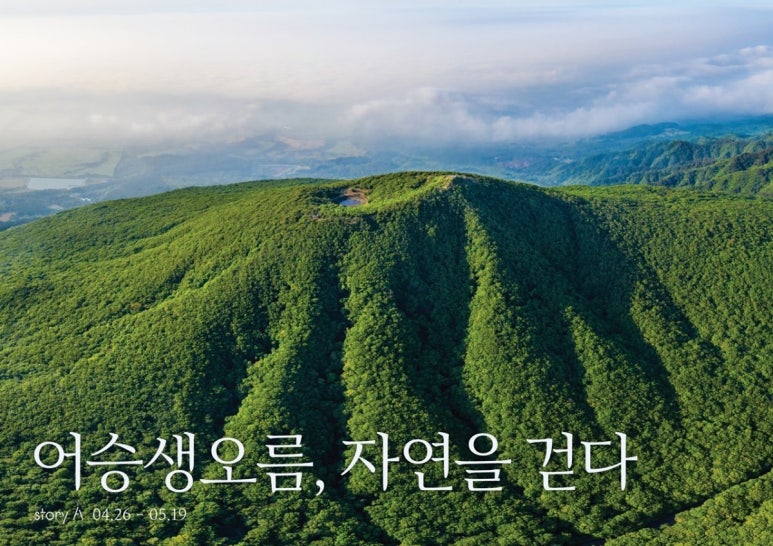 오름미디어 이미지