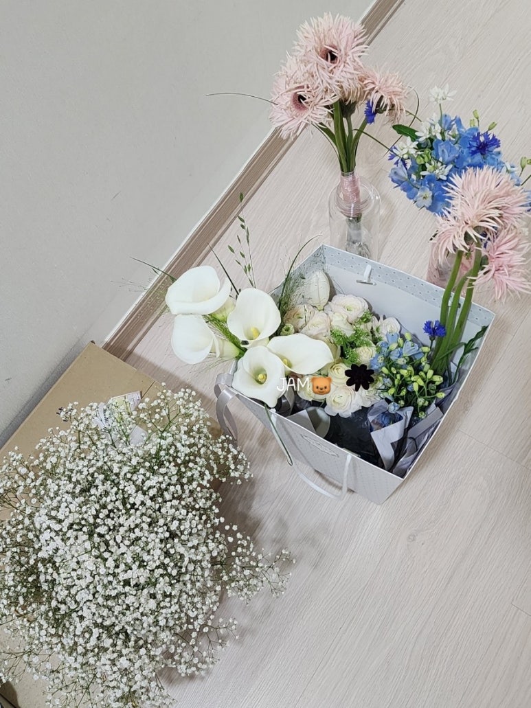 비마이블루 이미지