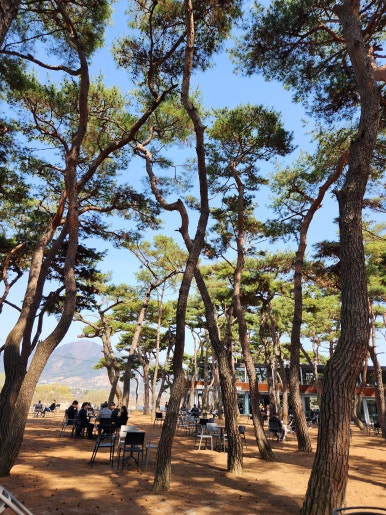 카페소울 이미지