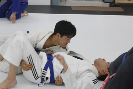 팀루츠 이미지