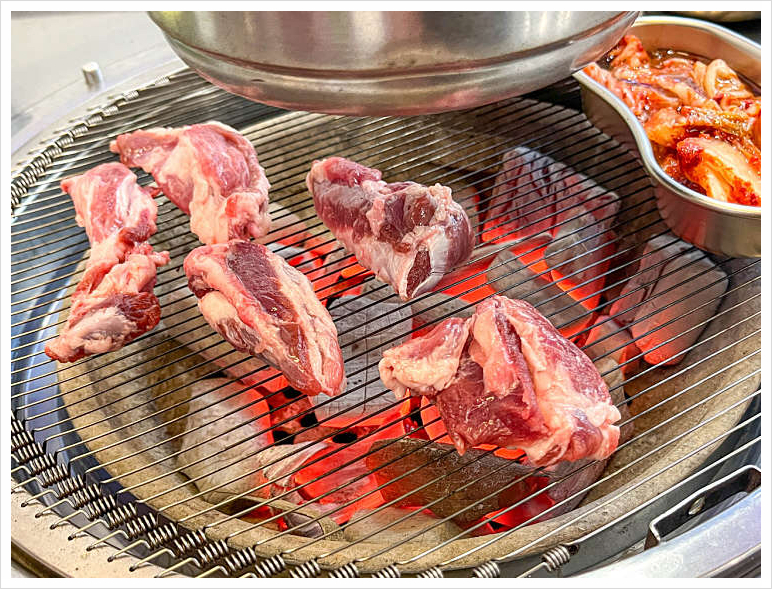 빽고기 이미지