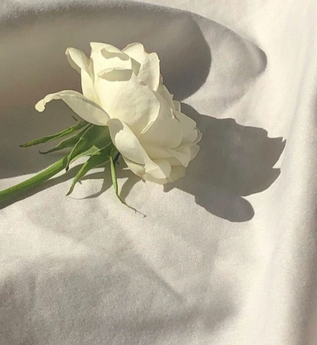 가위와빗 이미지