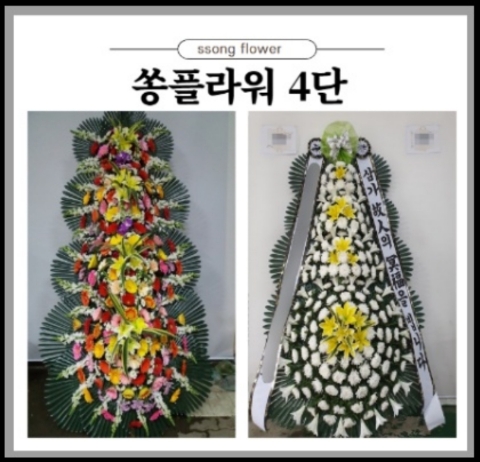 아젠토피오레컨벤션 이미지