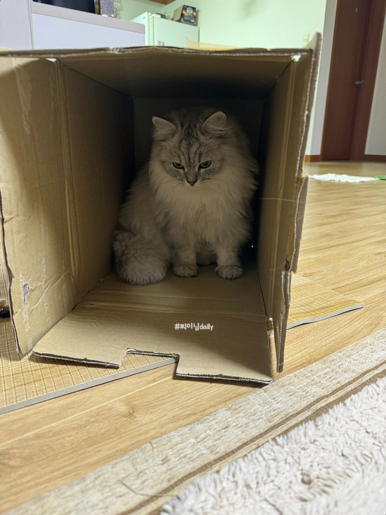 파리바게트 부산중앙역점 이미지