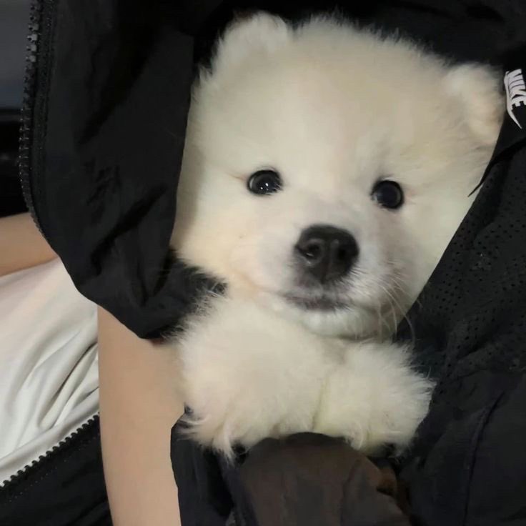 와이즈WISE 이미지