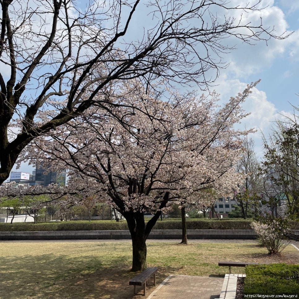 커피빈교대점 이미지