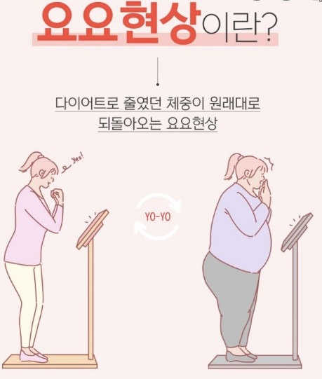 플랜핏 이미지