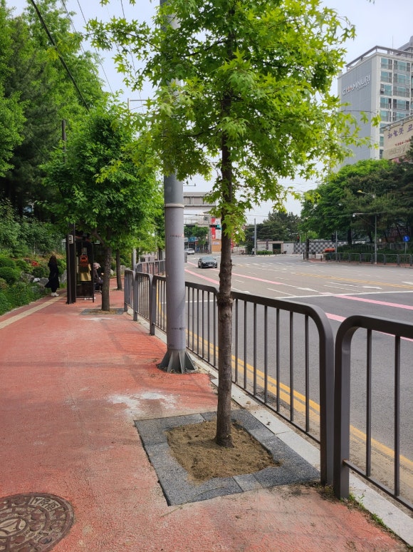 기산중학교 이미지
