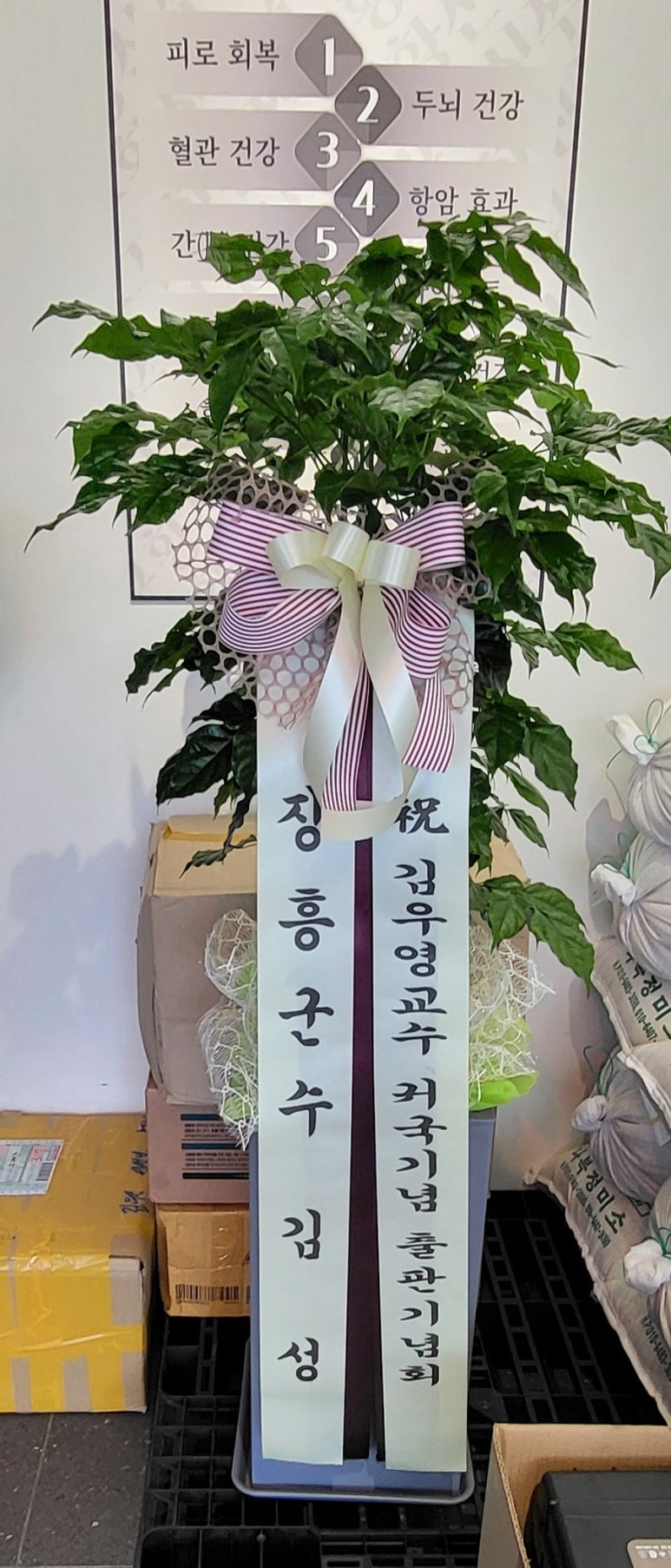 법무사이용우 이미지