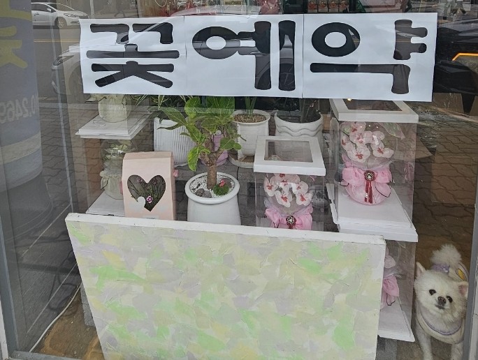 소담꽃 이미지