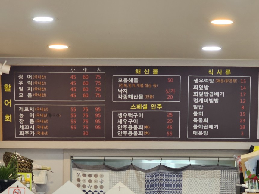 울릉도회오징어 이미지