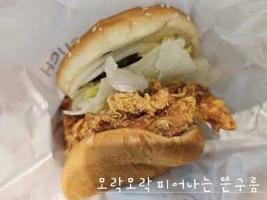 싸이다방 이미지