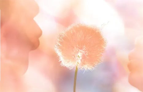 헤어원픽 이미지