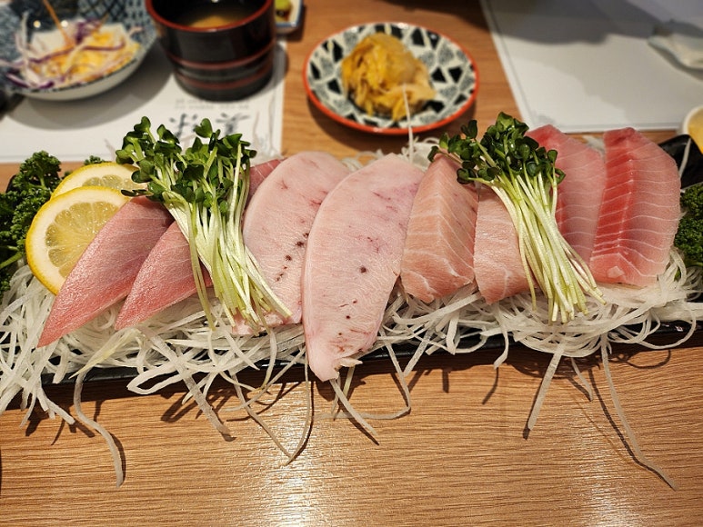 미미참치 이미지