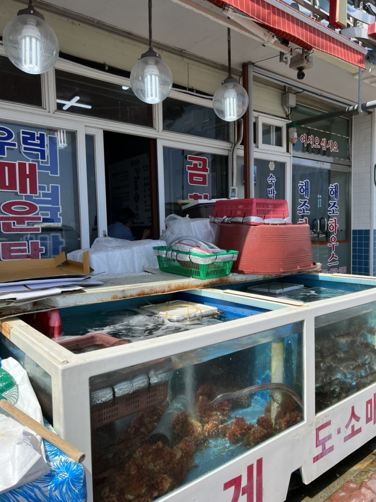 청해회물회 이미지