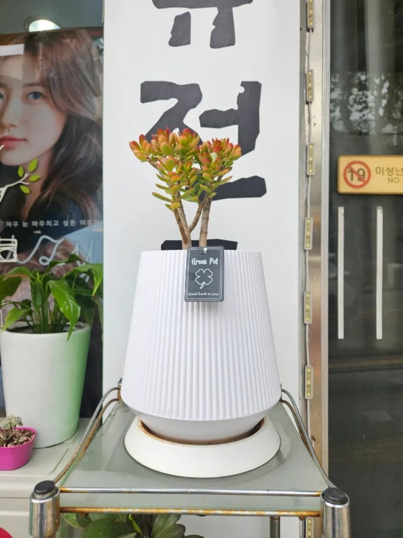 화초포차 이미지
