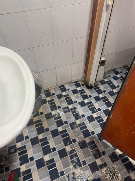 크린시스 이미지