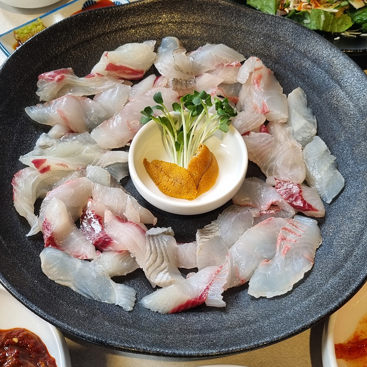 목포막회 이미지