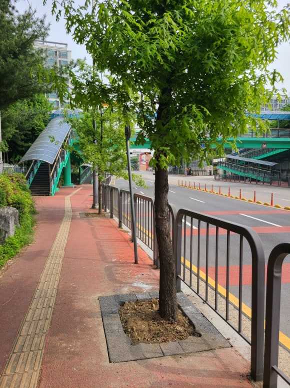 기산중학교 이미지