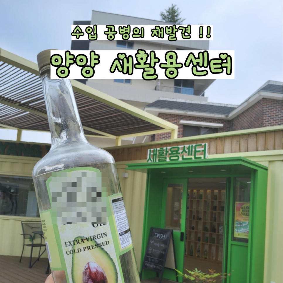 양양새활용 이미지