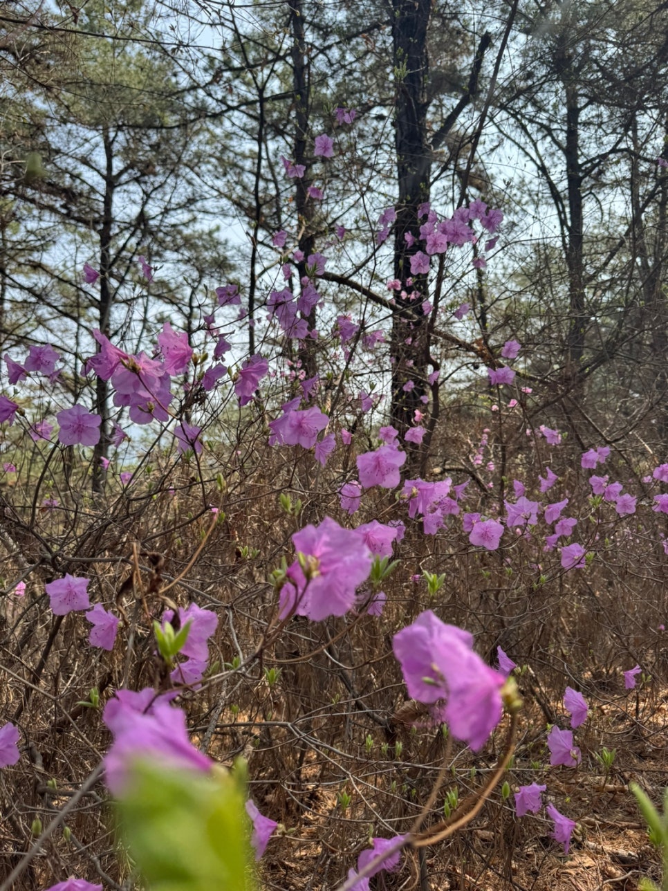 윤도예공방 이미지
