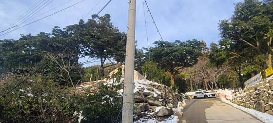 진도카멜리아힐즈오토캠핑장 이미지