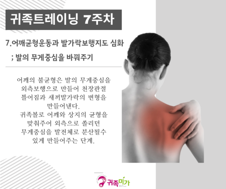귀족미가 이미지