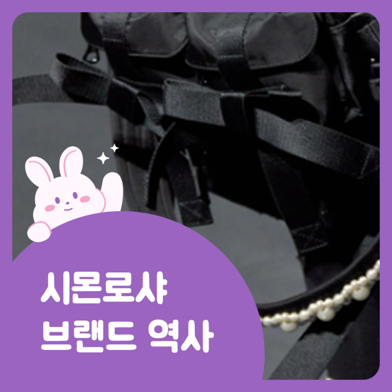 로샤스토리 이미지