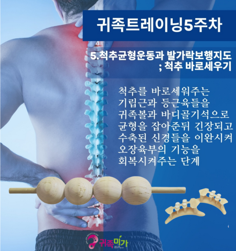 귀족미가 이미지