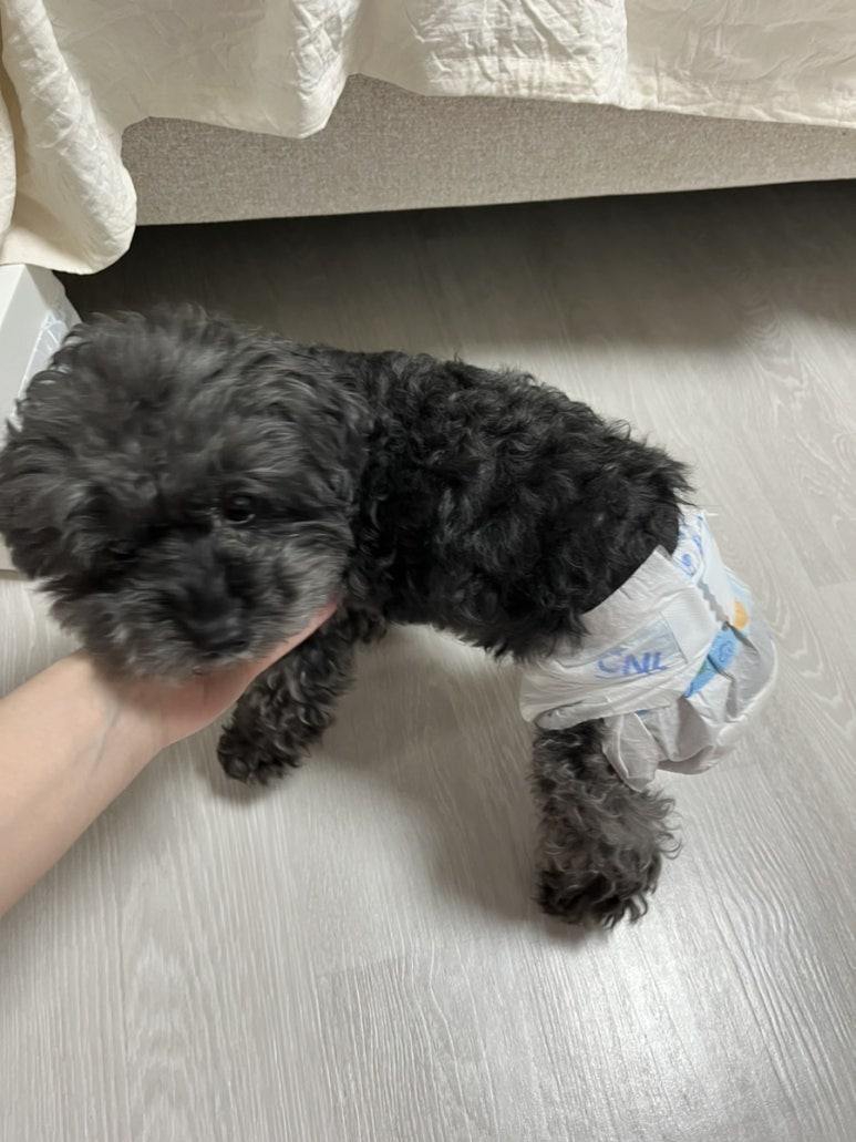 만연축산식당 이미지