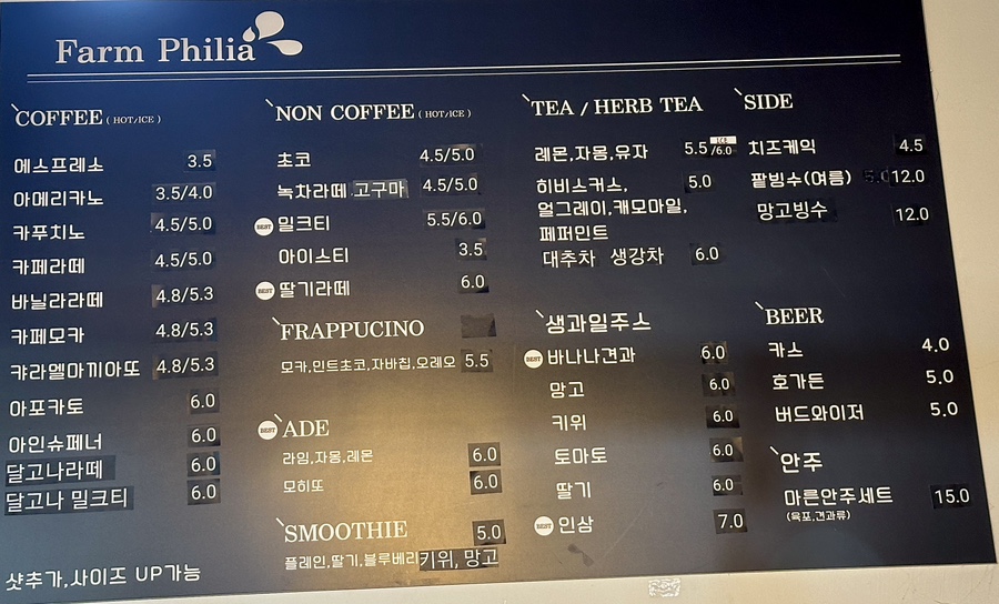 팜필리아 이미지