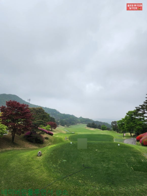 신라오비 이미지