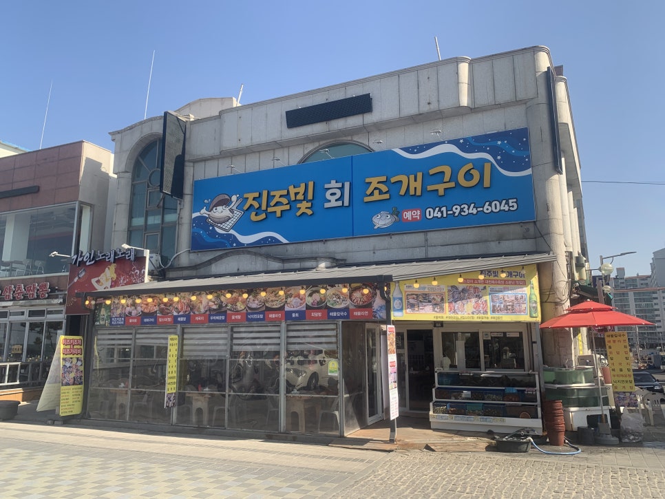 해품조개 이미지