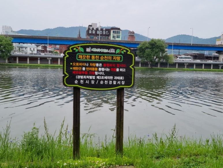 감탄동천 이미지