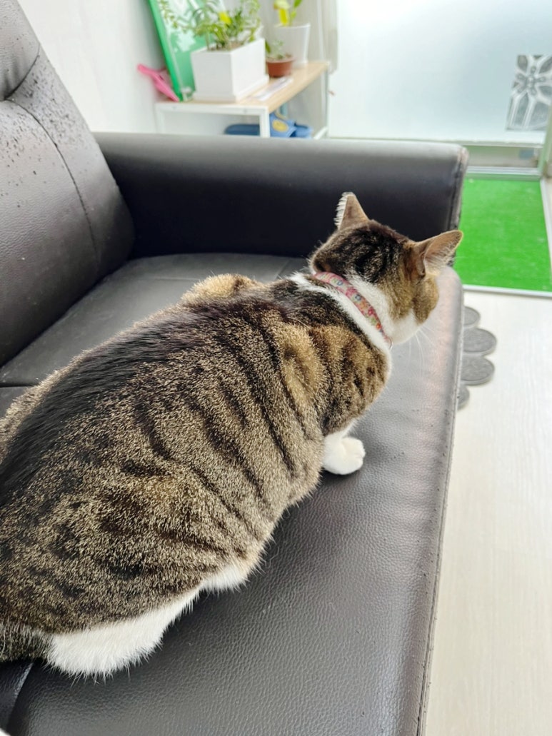 다가올네일 이미지