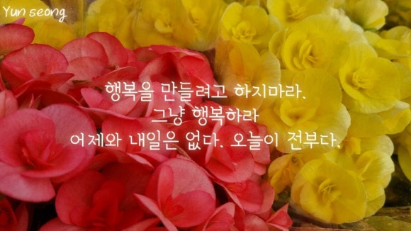 오늘의푸드 이미지