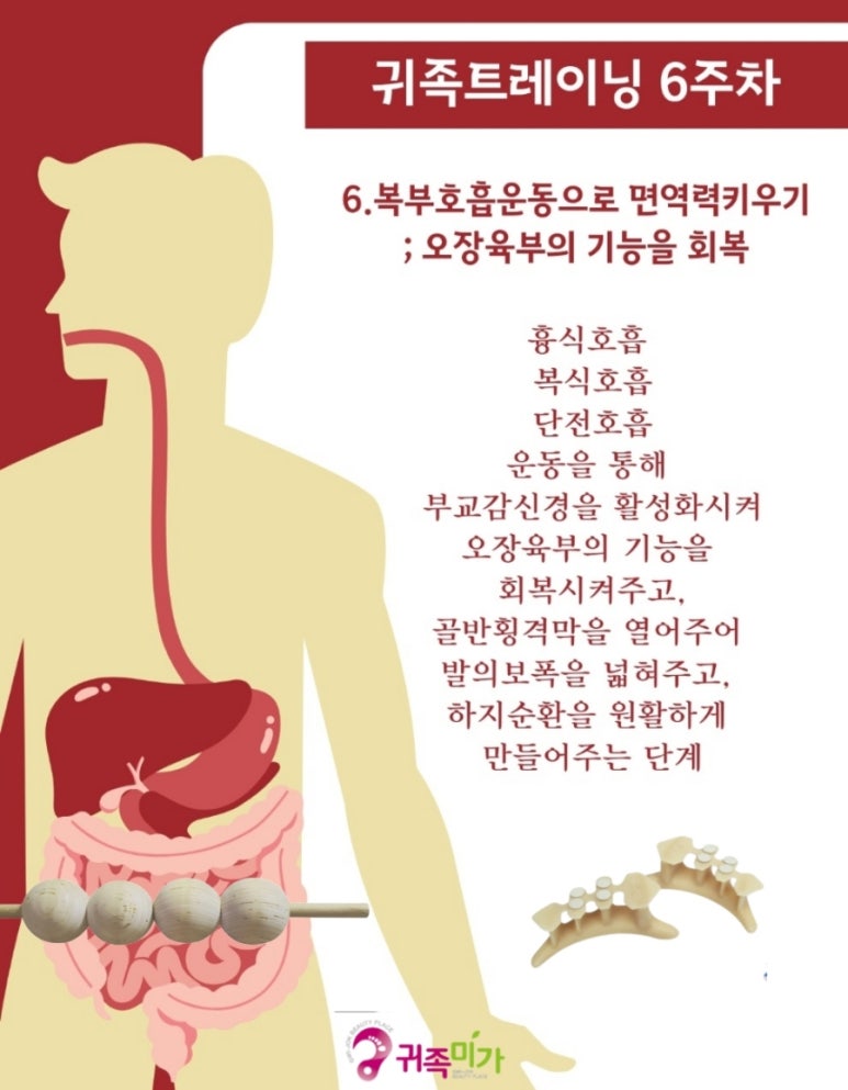 귀족미가 이미지
