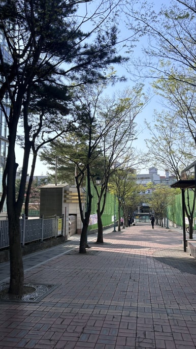 보라도서관매점 이미지