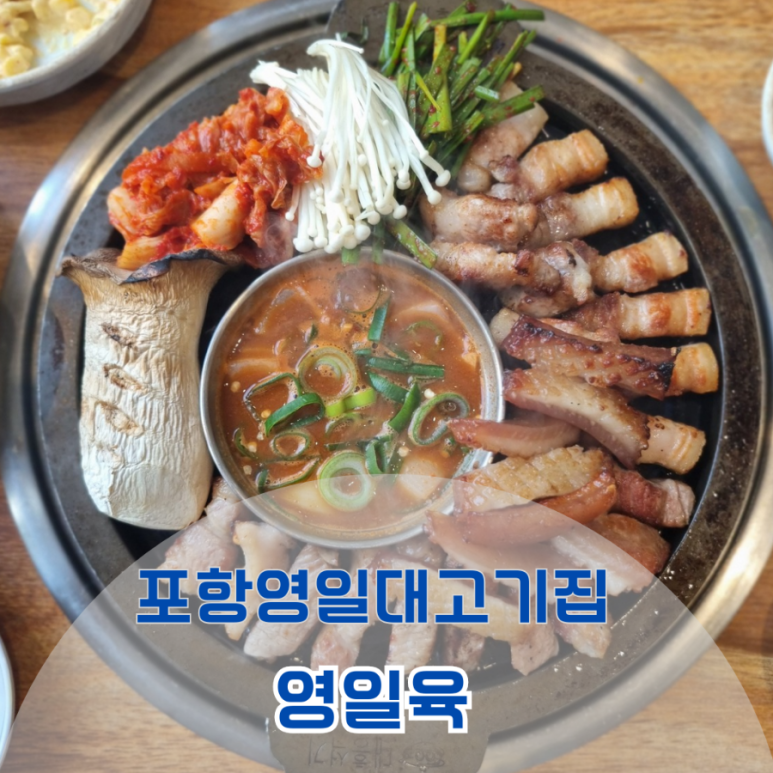 영일육 이미지